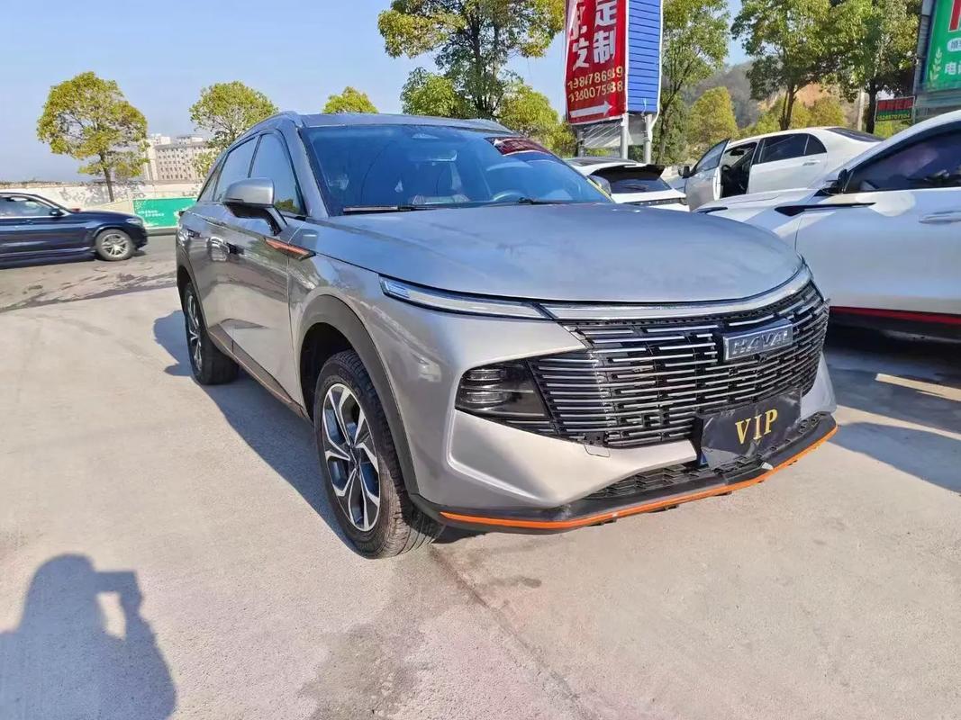 最新款哈弗神兽价格／2022款哈弗神兽