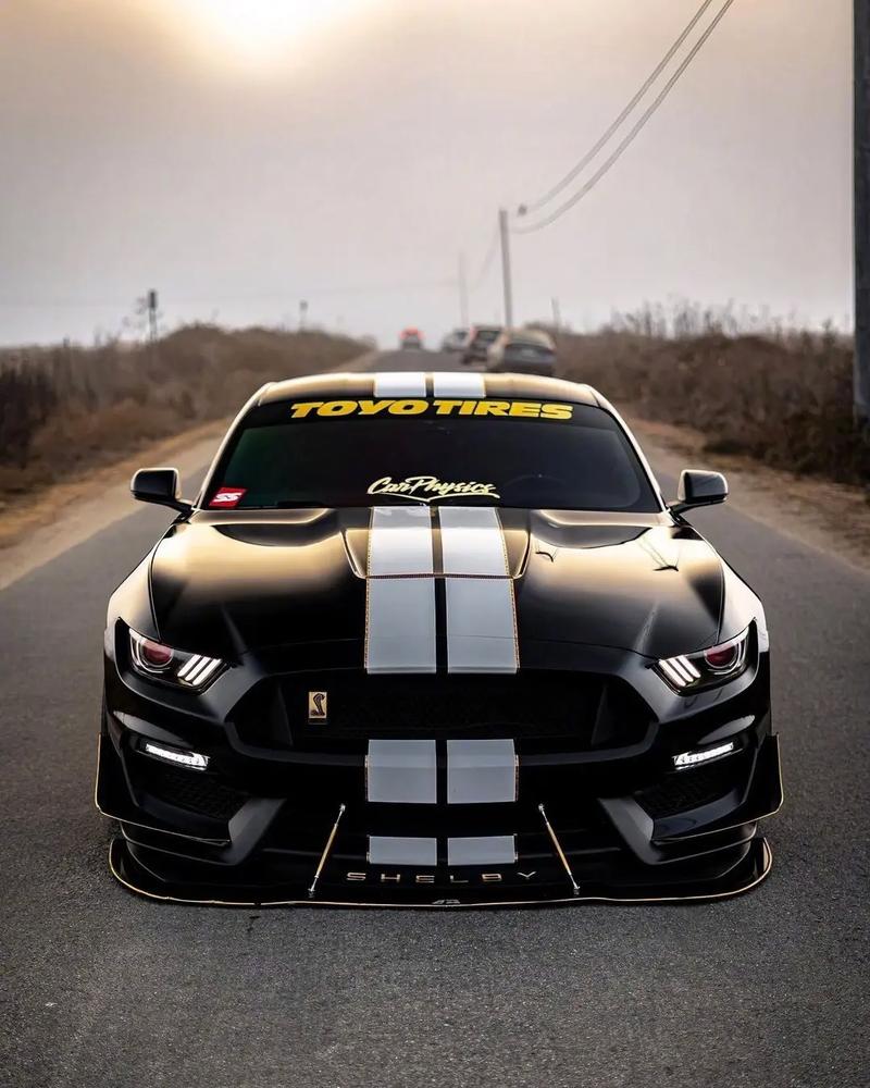 野马眼镜蛇gt350价位多少(野马眼镜蛇gte)