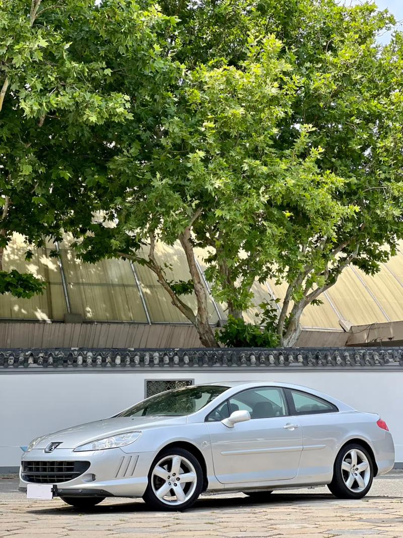 【标致407轿跑,标致407跑车】