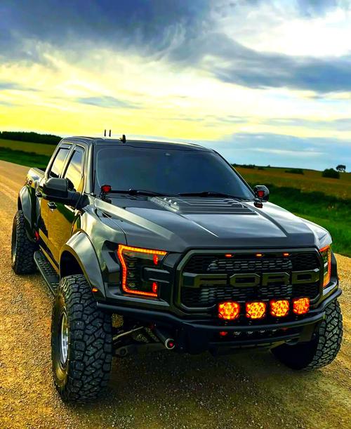 皮卡福特猛禽,皮卡福特猛禽图片