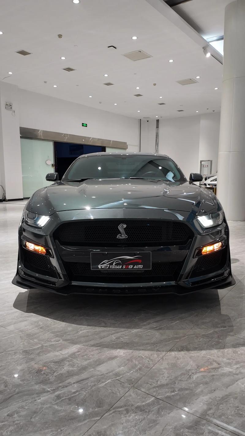 福特野马suv汽车报价及图片/福特野马车型及报价