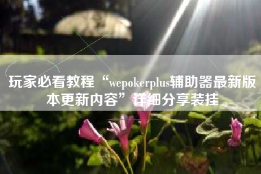 玩家必看教程“wepokerplus辅助器最新版本更新内容”详细分享装挂