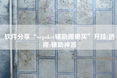 软件分享“wepoker辅助哪里买”开挂(透视)辅助神器