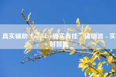 真实辅助“wepoker确实有挂”辅助器 - 实时智能