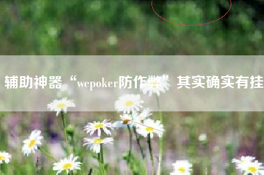 辅助神器“wepoker防作弊”其实确实有挂