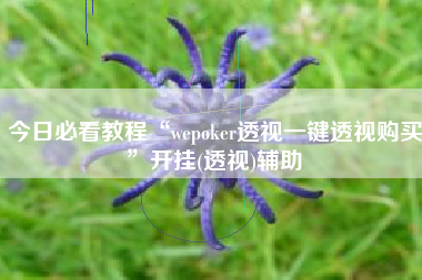 今日必看教程“wepoker透视一键透视购买”开挂(透视)辅助