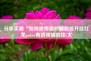 分享实测“如何使用德扑辅助器开挂红龙poker有透视辅助挂(太