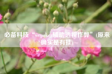 必备科技“wepoker辅助透视作弊”(原来确实是有挂)