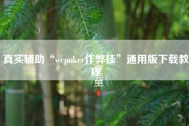 真实辅助“wepoker作弊挂”通用版下载教程