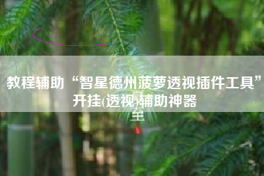 教程辅助“智星德州菠萝透视插件工具”开挂(透视)辅助神器