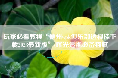 玩家必看教程“德州wpk俱乐部透视挂下载2023最新版”(曝光透视必备猫腻