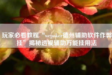 玩家必看教程“wepoker德州辅助软件作弊挂	”揭秘透视辅助万能挂用法