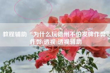 教程辅助“为什么玩德州不怕发牌作弊”作弊(透视)透视辅助