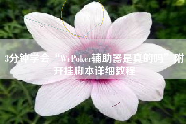 3分钟学会“WePoker辅助器是真的吗	”附开挂脚本详细教程