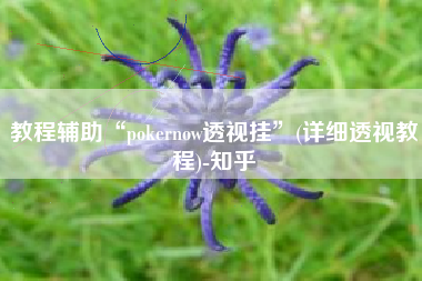 教程辅助“pokernow透视挂”(详细透视教程)-知乎