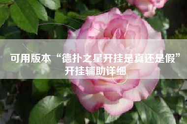 可用版本“德扑之星开挂是真还是假”开挂辅助详细