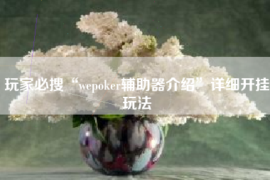 玩家必搜“wepoker辅助器介绍	”详细开挂玩法