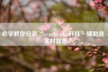 必学教你安装“wepokerplus开挂	”辅助器 - 实时智能