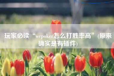 玩家必读“wepoker怎么打胜率高”(原来确实是有插件)