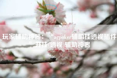 玩家辅助神器：“agpoker辅助挂透视插件”开挂(透视)辅助神器