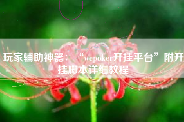玩家辅助神器：“wepoker开挂平台”附开挂脚本详细教程