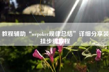 教程辅助“wepoker规律总结”详细分享装挂步骤教程