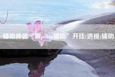 辅助神器“微poker辅助	”开挂(透视)辅助