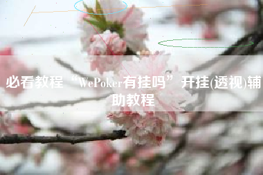 必看教程“WePoker有挂吗”开挂(透视)辅助教程