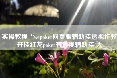 实操教程“wepoker网页版辅助挂透视作弊开挂红龙poker有透视辅助挂(太