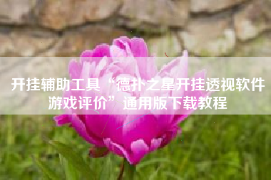 开挂辅助工具“德扑之星开挂透视软件游戏评价	”通用版下载教程