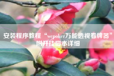 安装程序教程“wepoker万能透视看牌器”附开挂脚本详细