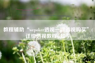 教程辅助“wepoker透视一键透视购买”(详细透视教程)-知乎