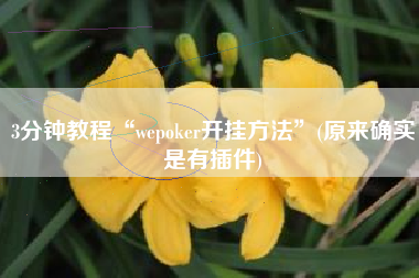 3分钟教程“wepoker开挂方法”(原来确实是有插件)