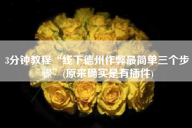 3分钟教程“线下德州作弊最简单三个步骤	”(原来确实是有插件)