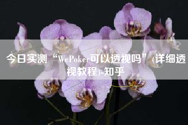 今日实测“WePoker可以透视吗	”(详细透视教程)-知乎