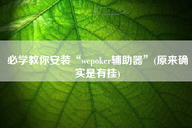 必学教你安装“wepoker辅助器”(原来确实是有挂)