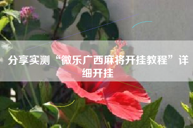 分享实测“微乐广西麻将开挂教程	”详细开挂