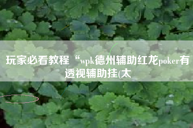玩家必看教程“wpk德州辅助红龙poker有透视辅助挂(太