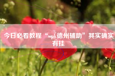 今日必看教程“wpk德州辅助”其实确实有挂