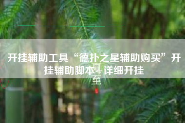 开挂辅助工具“德扑之星辅助购买”开挂辅助脚本+详细开挂