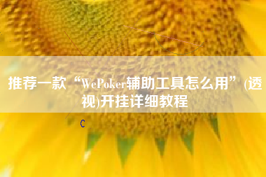 推荐一款“WePoker辅助工具怎么用”(透视)开挂详细教程