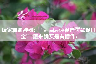 玩家辅助神器：“wepoker透视挂付款保证金”(原来确实是有插件)