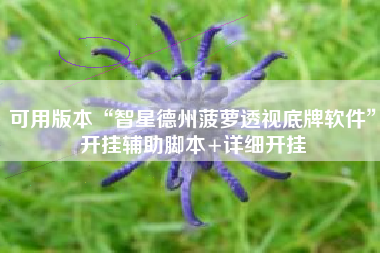可用版本“智星德州菠萝透视底牌软件	”开挂辅助脚本+详细开挂