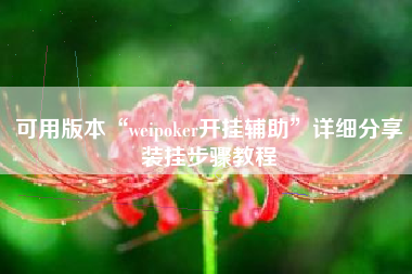 可用版本“weipoker开挂辅助”详细分享装挂步骤教程