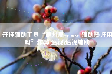 开挂辅助工具“德州局wepoker辅助器好用吗”作弊(透视)透视辅助
