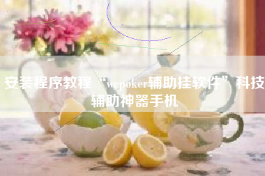 安装程序教程“wepoker辅助挂软件”科技辅助神器手机