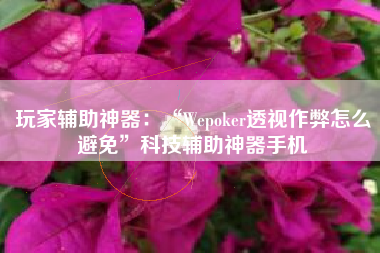 玩家辅助神器：“Wepoker透视作弊怎么避免”科技辅助神器手机