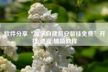 软件分享“微乐自建房安装挂免费”开挂(透视)辅助教程