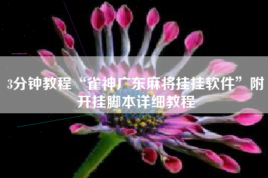 3分钟教程“雀神广东麻将挂挂软件”附开挂脚本详细教程