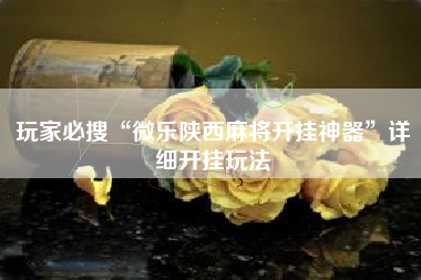 玩家必搜“微乐陕西麻将开挂神器”详细开挂玩法